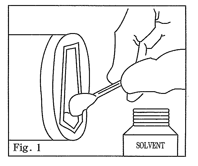 Fig 1