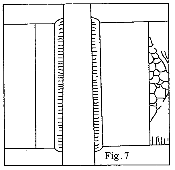 Fig 7
