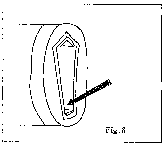 Fig 8