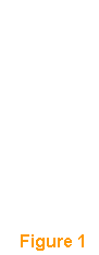 Niku Diagram