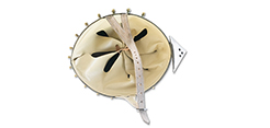 Nasal Helmet