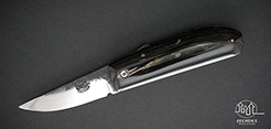 Phan Thiet Friction Folder - Horn Scales