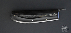 Phan Thiet Friction Folder - Horn Scales