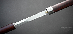 Skull Sword Cane