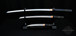 Original Modern Series Bundle 