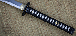 Practical Plus Elite Katana