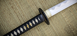 Practical Plus Elite Katana